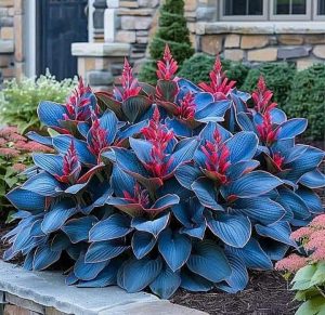 Хоста Грин Фог купить по цене от 669р. в интернет-магазине «Посадика» с доставкой почтой в в Шахтые и по всей России – [изображение №1].