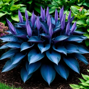 Хоста Сикрет Гров купить по цене от 570р. в интернет-магазине «Посадика» с доставкой почтой в в Шахтые и по всей России – [изображение №1].